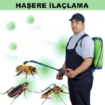 Güney Böcek İlaçlama